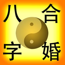 两个人八字合局(怎么算两个人的生辰八字合不合)